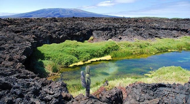 Tour a Punta Pitt Photo